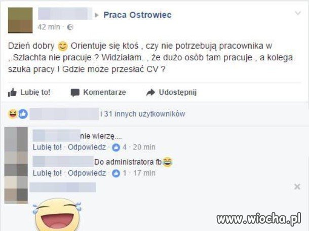Praca Ostrowiec