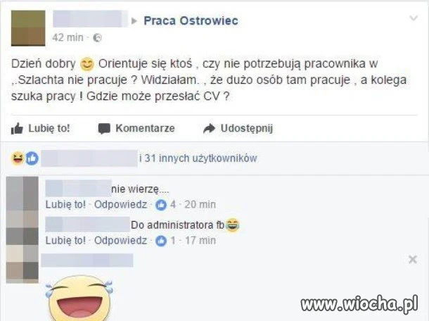 Praca Ostrowiec