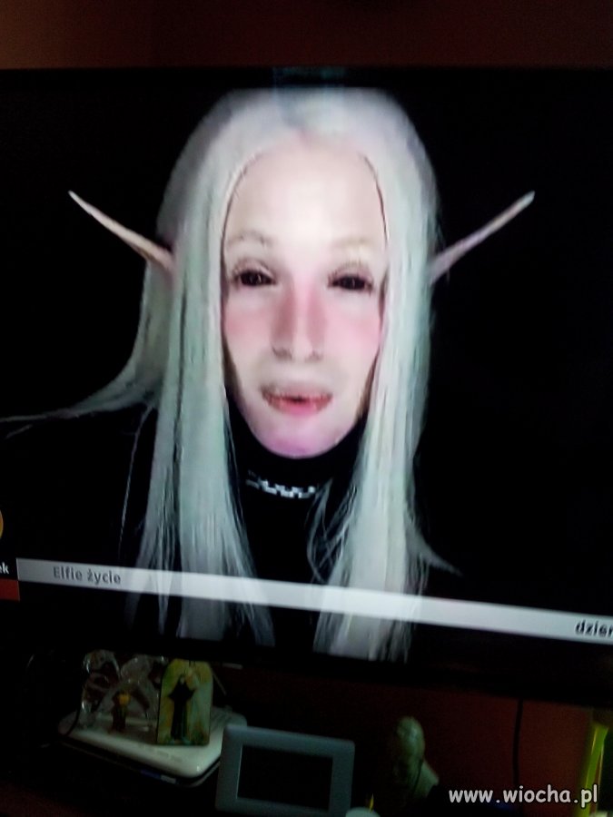 Typ Elf 