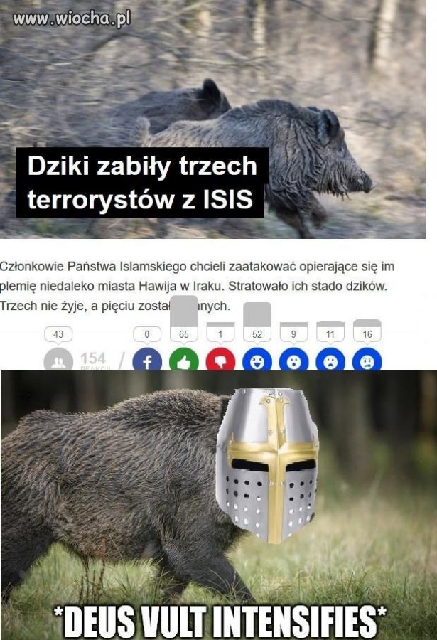 Wygląda na to, że matka natura ogłosiła krucjatę