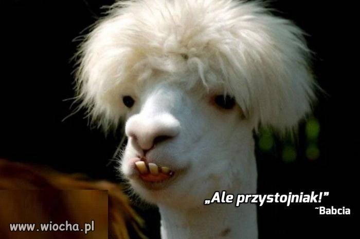 Dzięki, babciu...