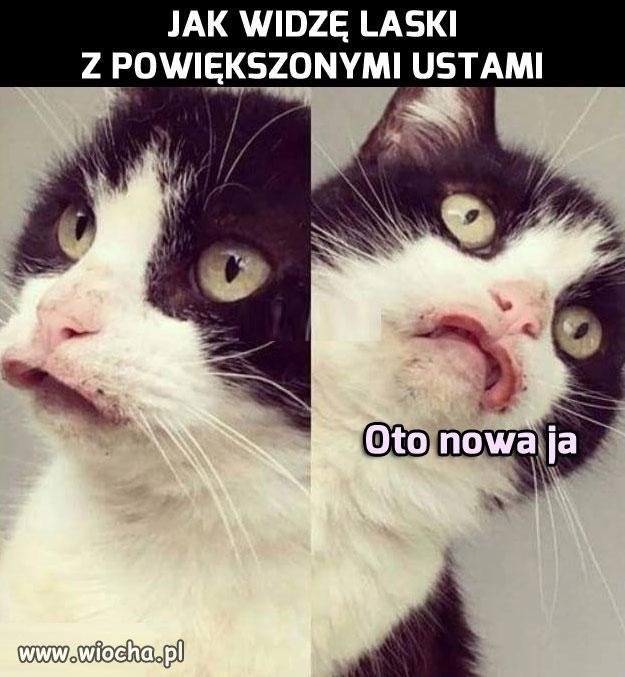 Prawdziwe piękno