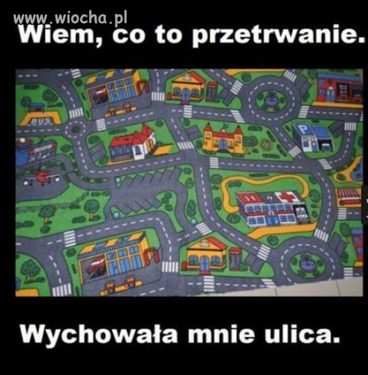 Wychowany przez ulicę