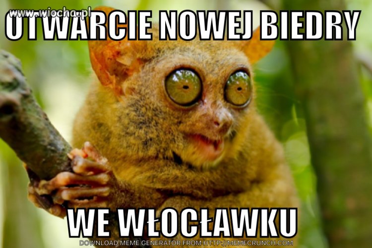 Biedra