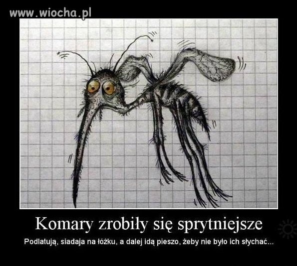 Tak to sobie wymyśliły