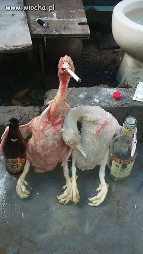 Najlepsze imprezy