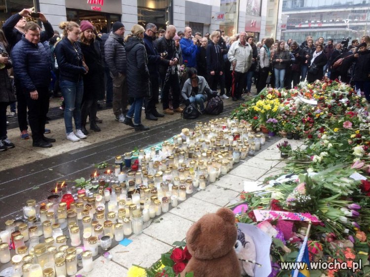 Sposób lewaków na walkę z terroryzmem