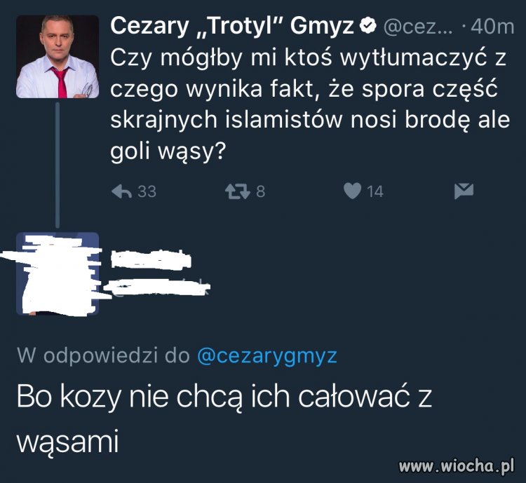 Dzięki swojej kulturze