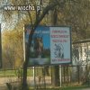 Przytul psa