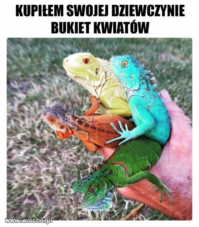 Czy tam gadów, nie wiem..