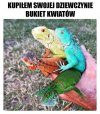 Czy tam gadów, nie wiem..