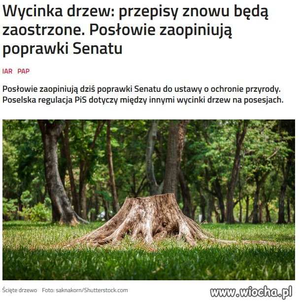 Ci co mieli wyciąć już wycięli