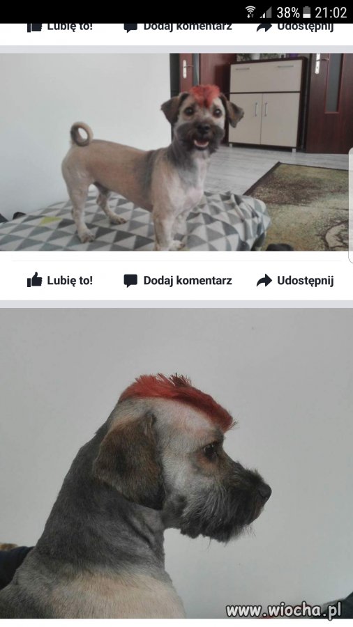 Serio?