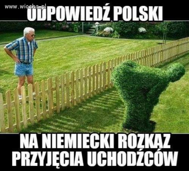 Krótko i na temat