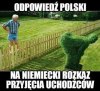 Krótko i na temat