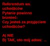 Krótko i na temat.