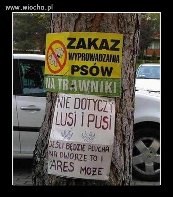 Wszędzie te układy i układziki.
