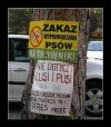 Wszędzie te układy i układziki.