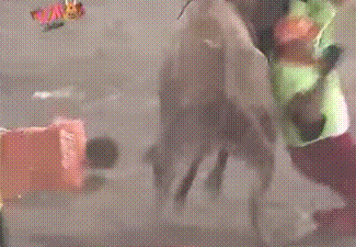 WTF...