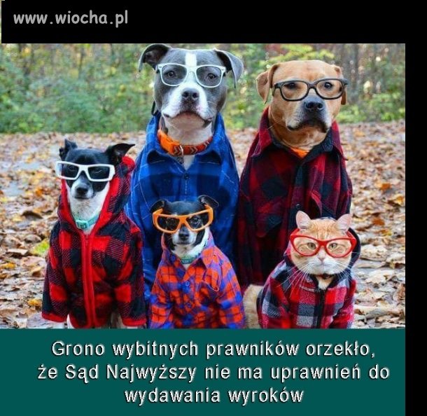Tylko najwyższy prezes ma takie prawo