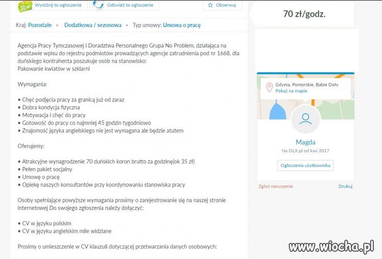 Praca w Danii 70 koron brutto a reszta do agencji