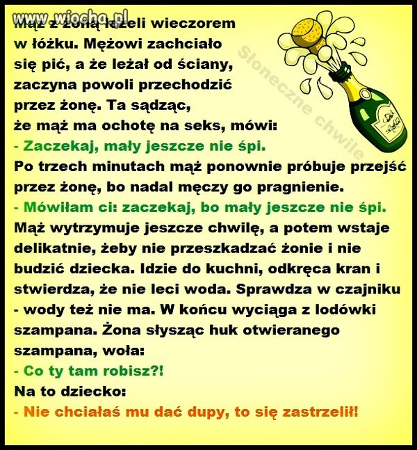 ZASTRZELIŁ SIE