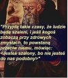 Coś jak ten co zwyzywał tych