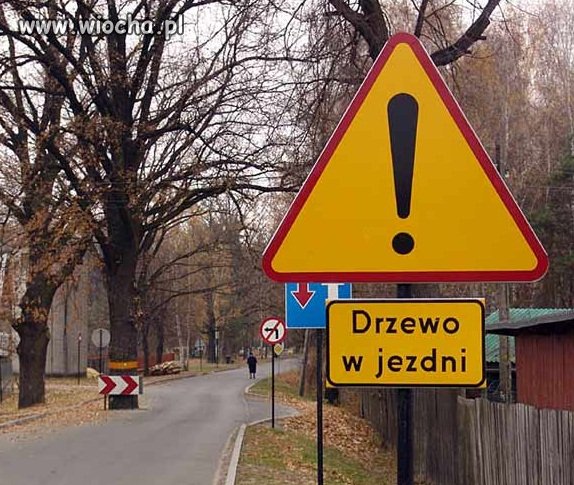 Polskie drogi
