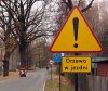 Polskie drogi
