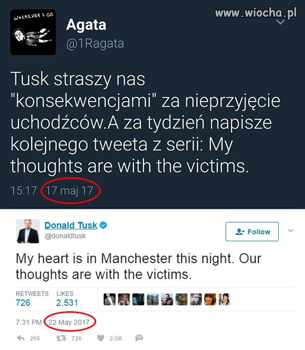 Jasnowidz