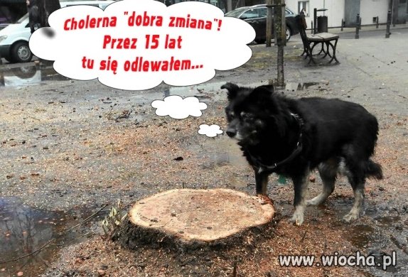 "Dobra zmiana"