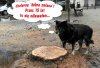 "Dobra zmiana"