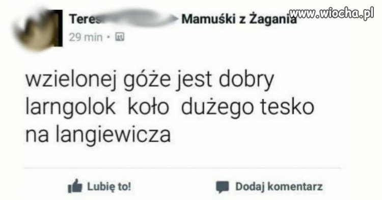 Mamuśki z Żagania koło tesko