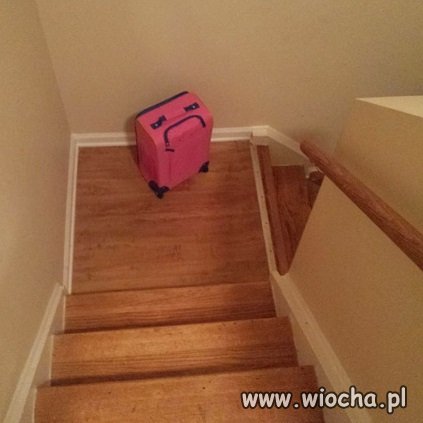 Wiecznie niezadowolona
