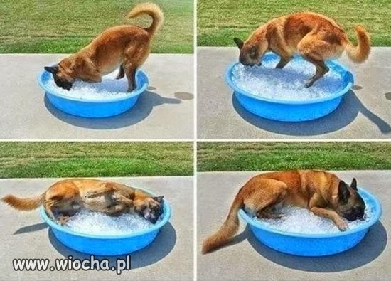 Nareszcie jest ciepło