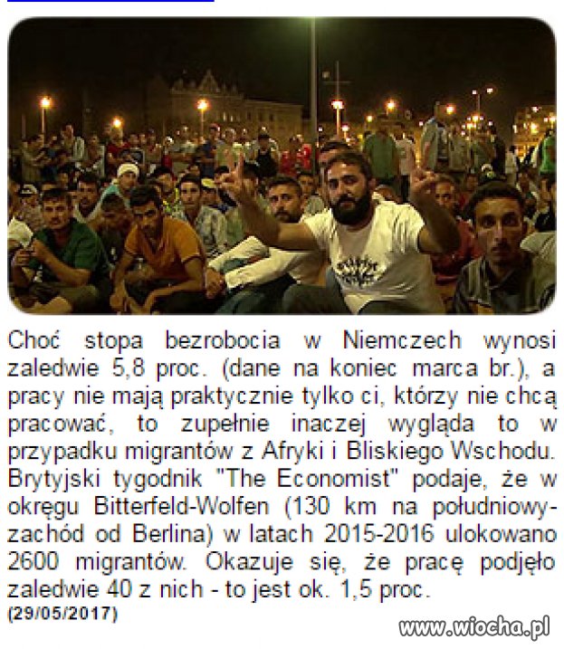 Tylko 1,5 proc.