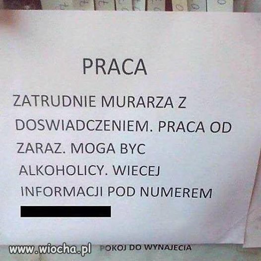 Oferta pracy