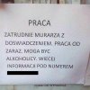 Oferta pracy