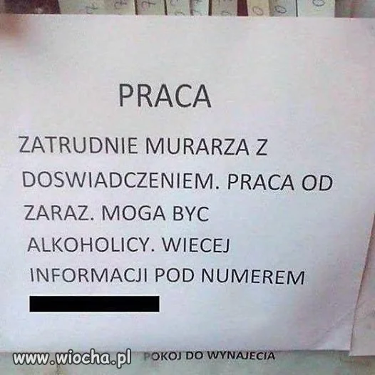 Oferta pracy