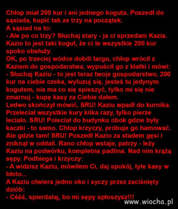 Heheszki