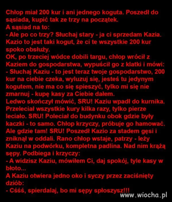 Heheszki