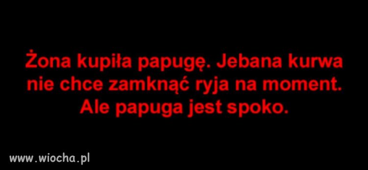 Bez pozdrowień dla wioskowych papug