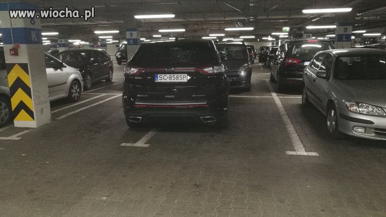 Mistrz parkowania