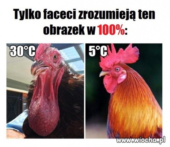 Faceci wiedzą