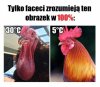 Faceci wiedzą