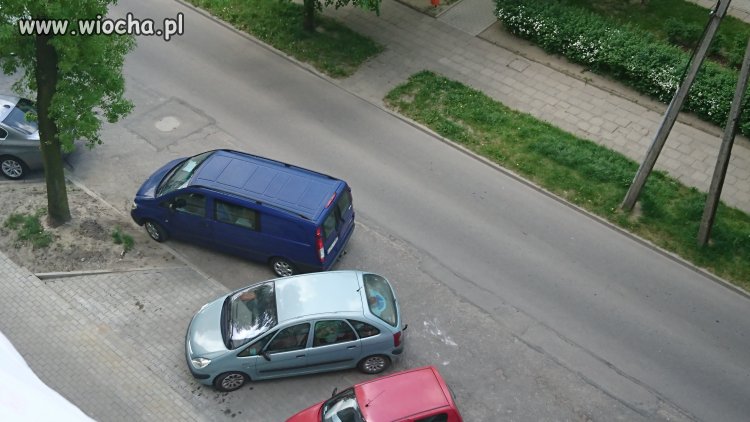 Mistrz parkowania 