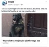 Polska.