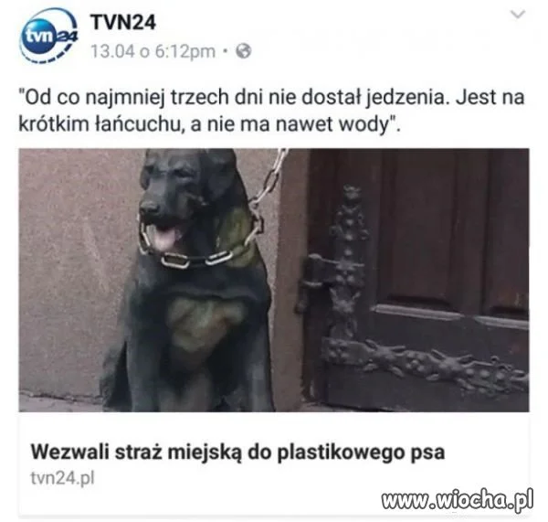 Polska.