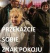 Nasz kraj taki piękny...