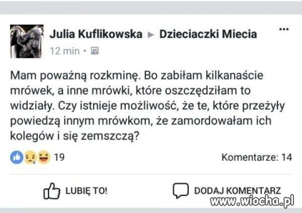 Poważna rozkmina